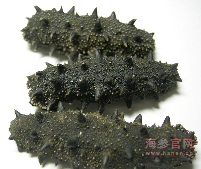 淡干海参加工方法