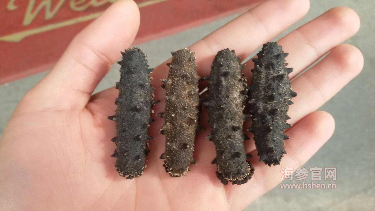 糖干海参 白砂糖和麦芽糊精