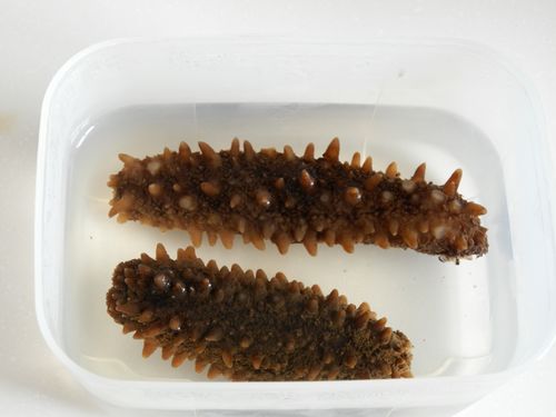 肉末海参的家常做法