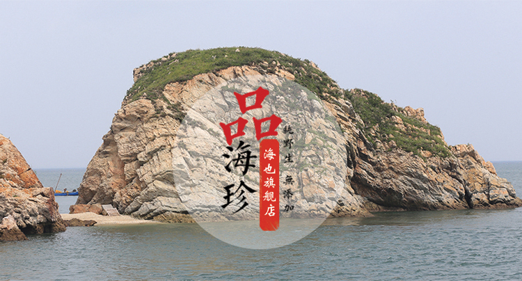 单只淡干海参高清图片