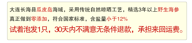 大连纯淡干野生海参实拍1