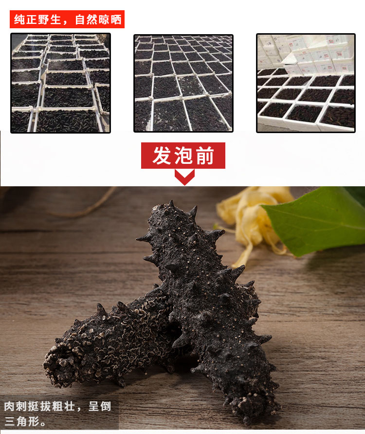 大连纯淡干野生海参实拍2