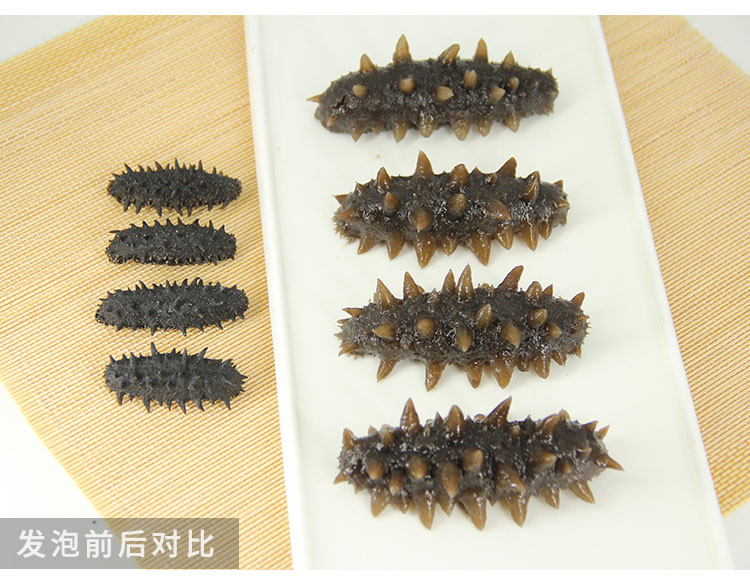 大连纯淡干野生海参实拍11