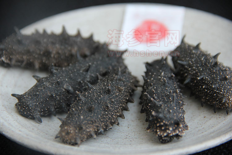 辽波湾野生海参报价2
