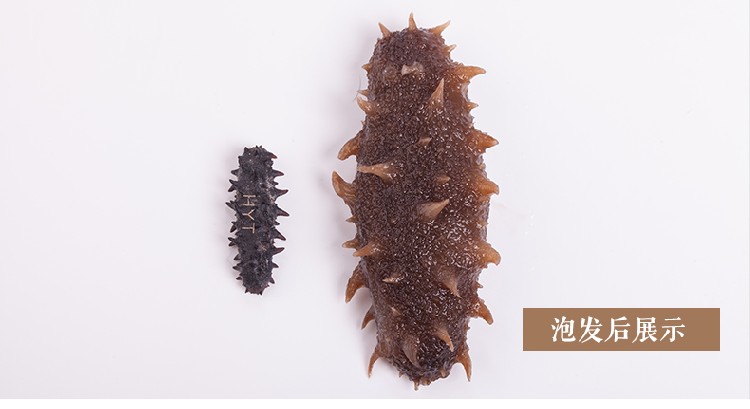  海晏堂即食海参礼盒装