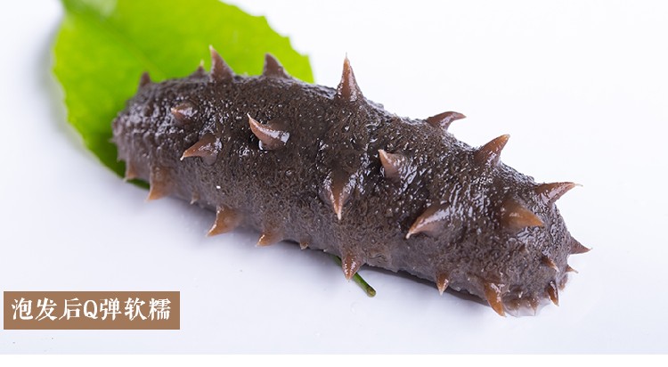  海晏堂即食海参礼盒装