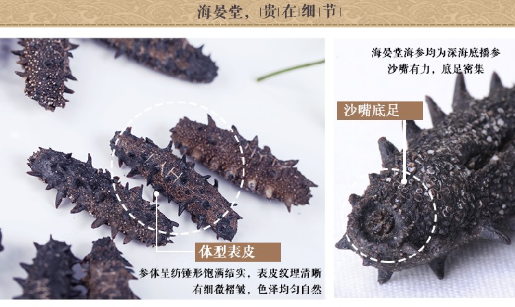  海晏堂即食海参礼盒装