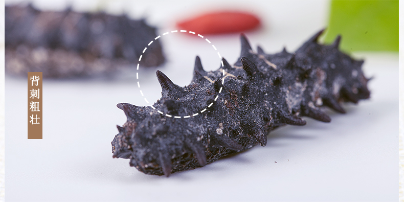 海晏堂海参礼盒装