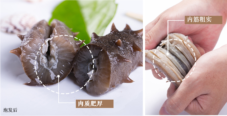 海晏堂海参礼盒装