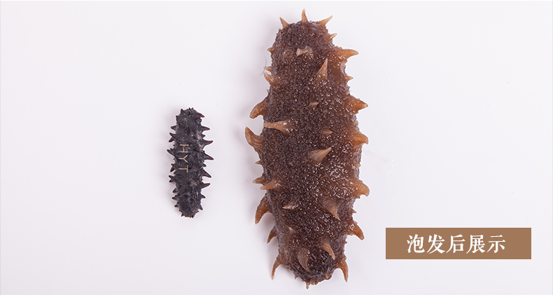 海晏堂海参礼盒装