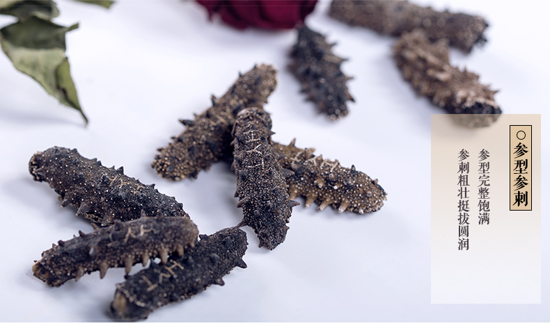 海晏堂海参礼盒装