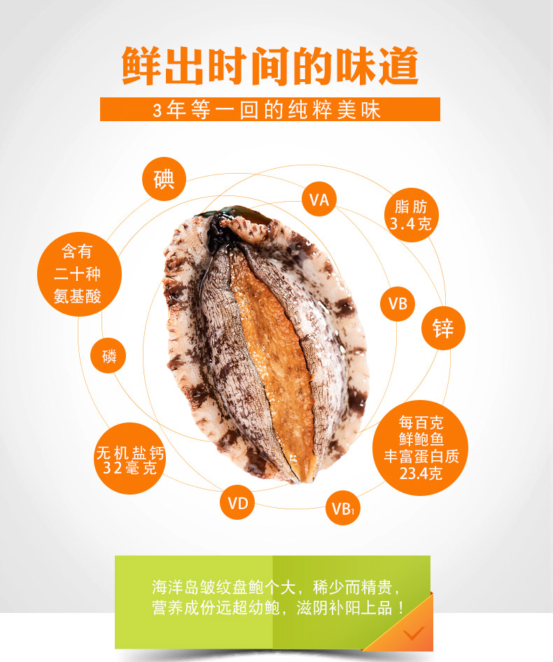 鲍鱼的功效有哪些