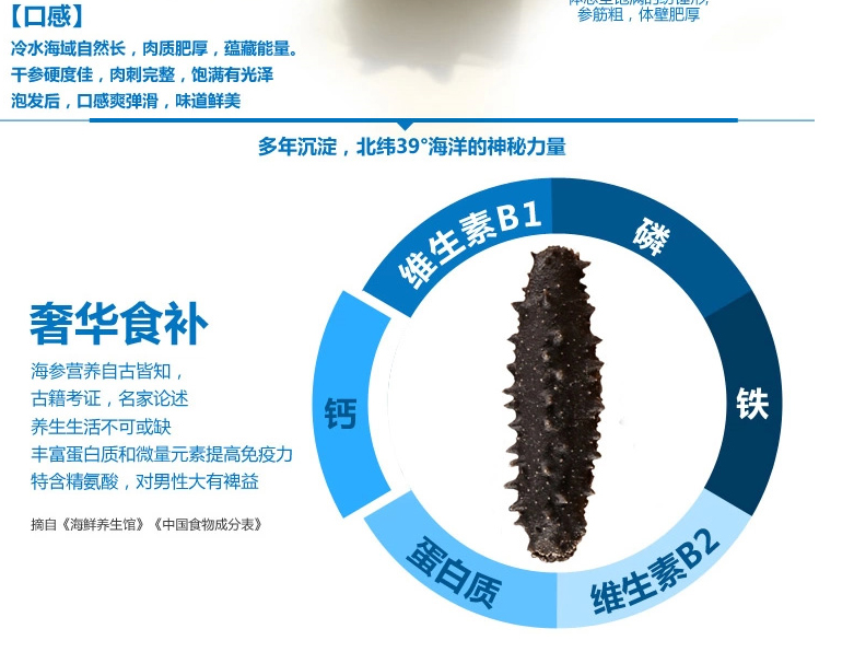 獐子岛海参有什么特点