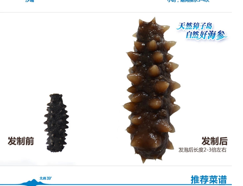 獐子岛海参泡发前后对比图