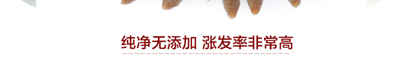 大连纯淡干海参拍摄12