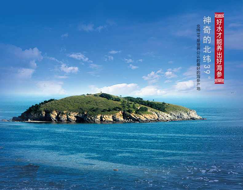 大连东泽海参怎么样