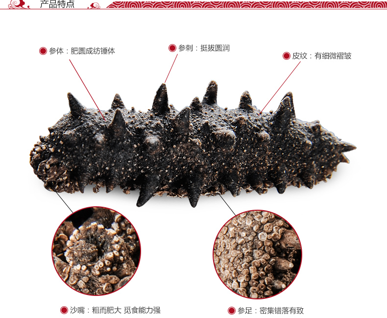 东泽海参产品特点