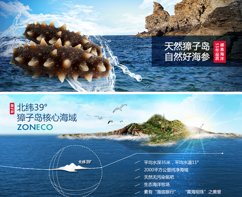 天然獐子岛 自然好海参 北纬39度 獐子岛核心海域