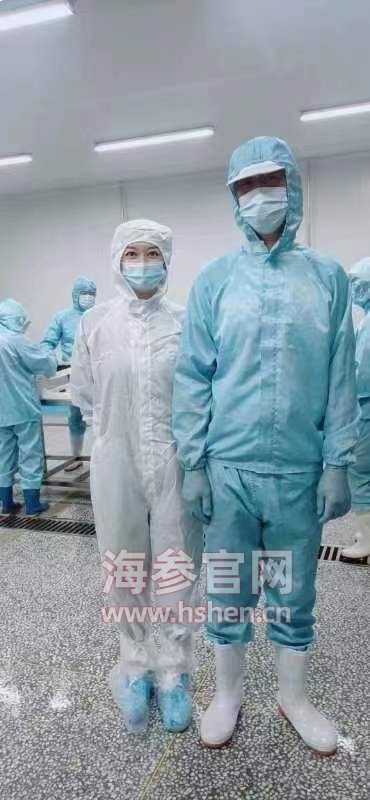 海参专业加工环境展示