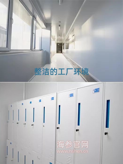 一尘不染的海参环境