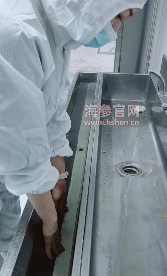 海参洗手清洁过程