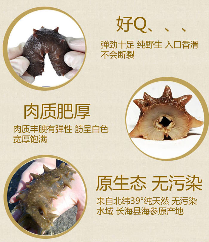 大连御鸿堂海参弹性十足,口感